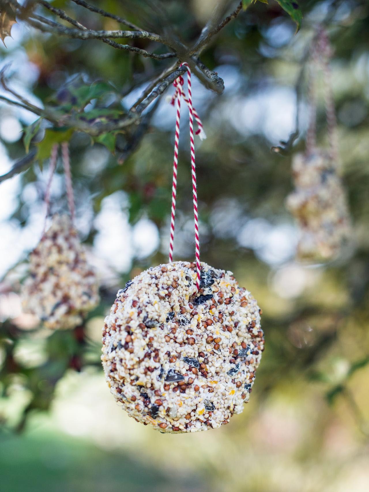 Bird Seed Ornaments Explained Right Way Birdcage Design Ideas