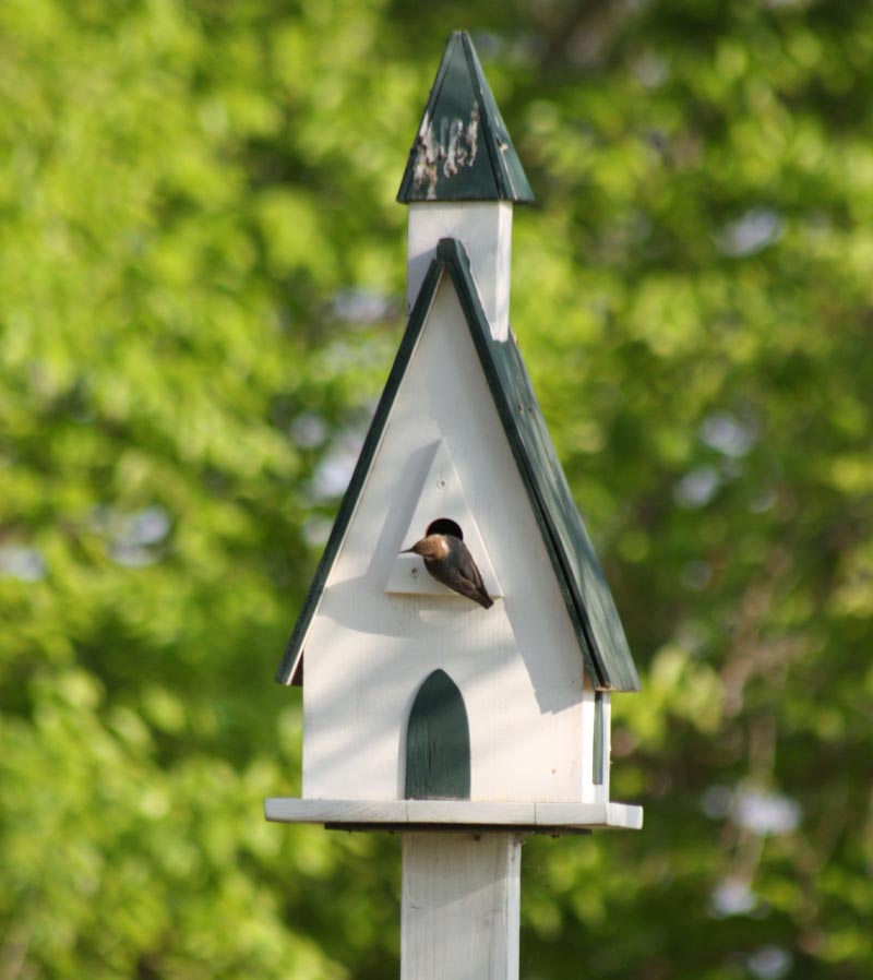 Chickadee Bird House Dimensions