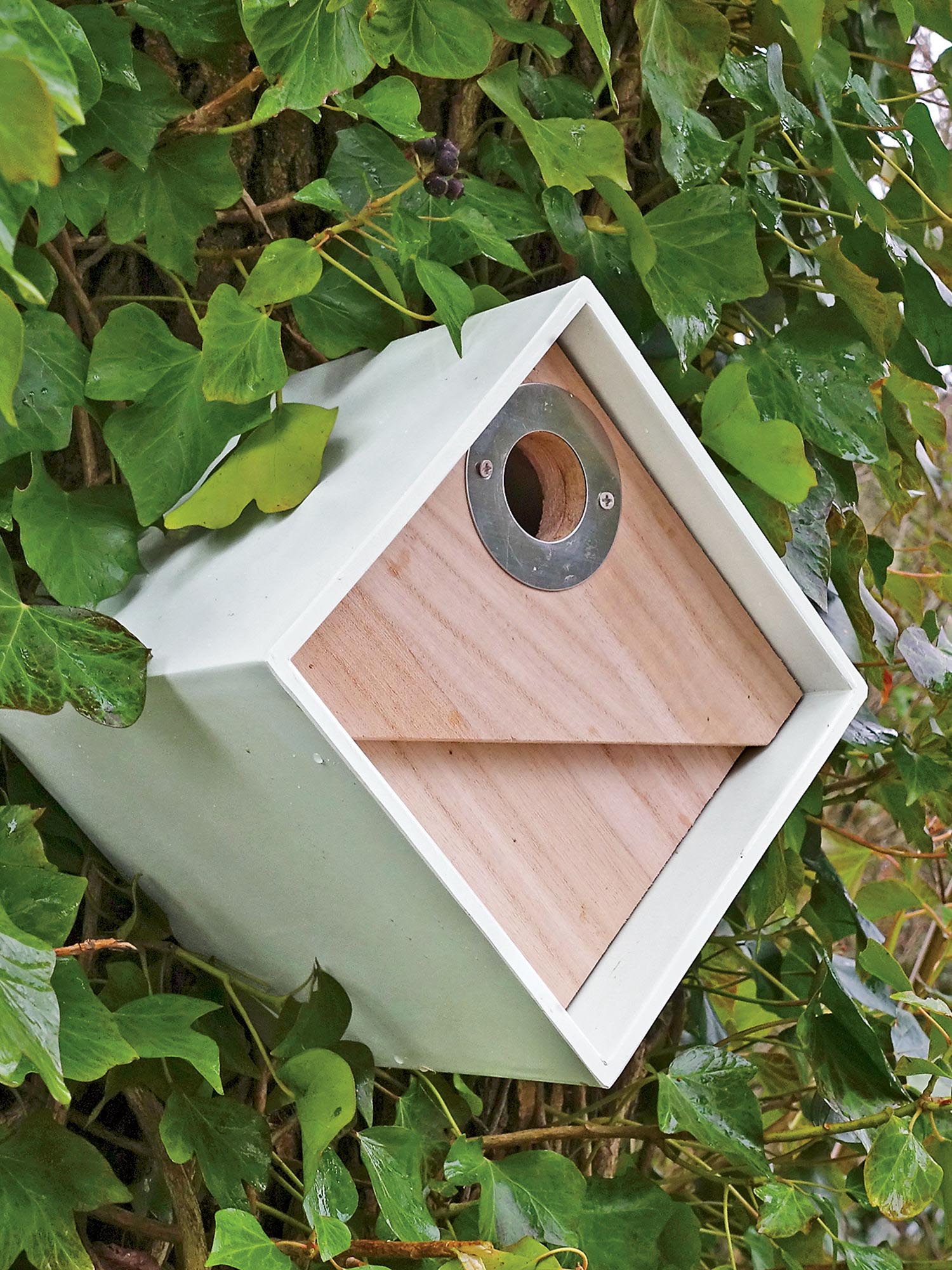 Chickadee Bird House Placement