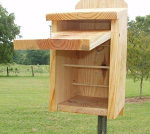 Wow-Effect of Chickadee Bird House: Chickadee Bird Houses Plans