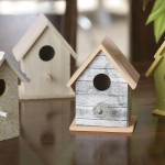 Decorative Bird House Kits