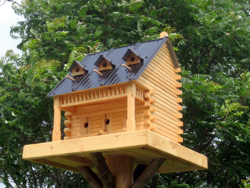 Fancy Bird Houses Designs