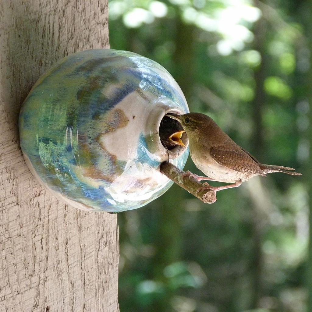 Related Post From Ceramic Bird Houses Are Always Remarkable