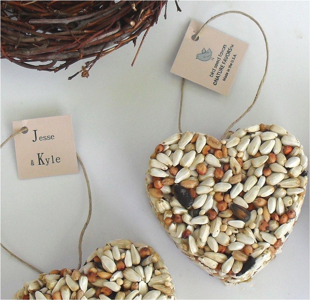 Heart Shaped Bird Seed Cakes