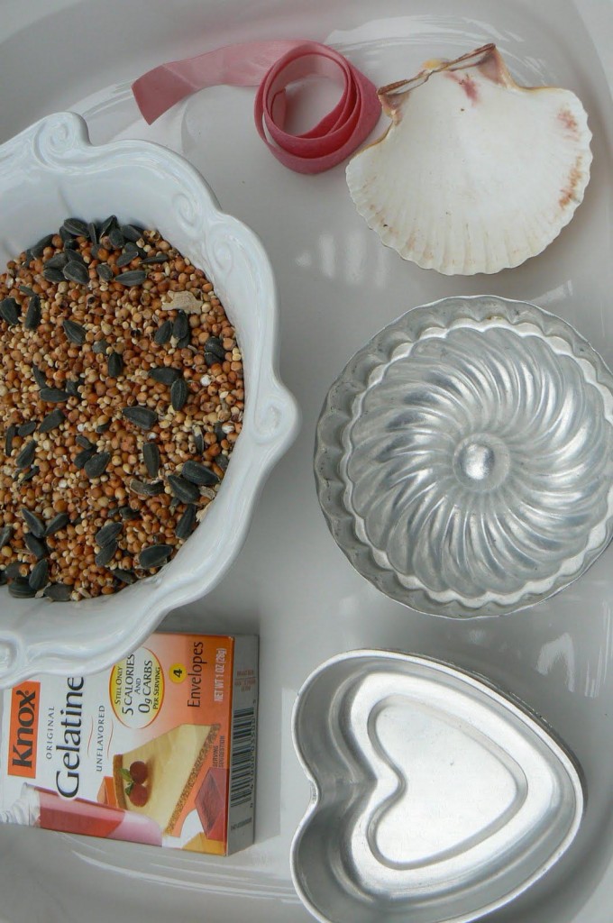 Bird Seed Cakes is Really a Perfect Option Making Bird Seed Cakes With Gelatin