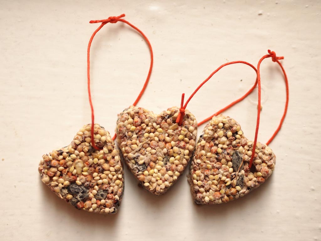 Making Bird Seed Ornaments