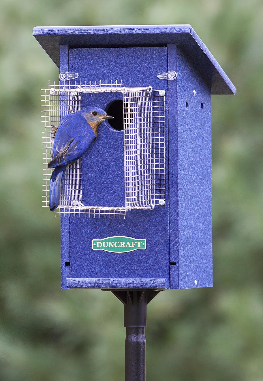 You Can Build Paint Bird Houses With Ease Birdcage Design Ideas