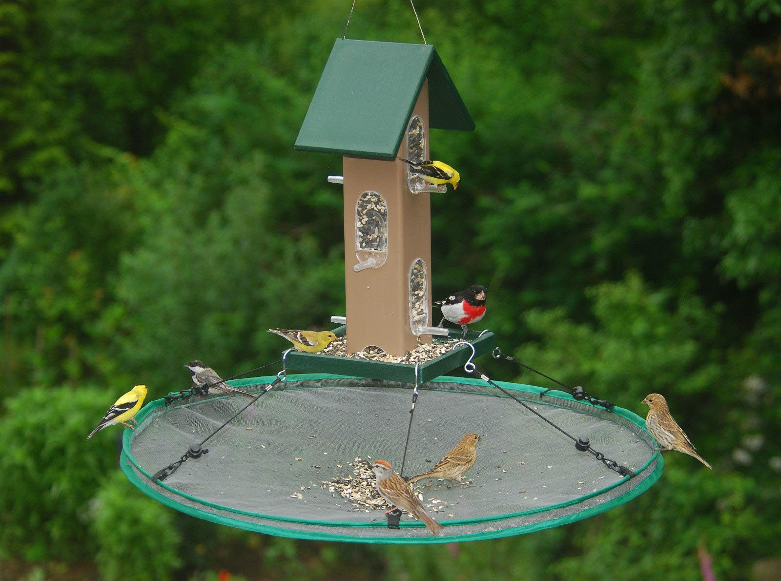 Bird food catcher